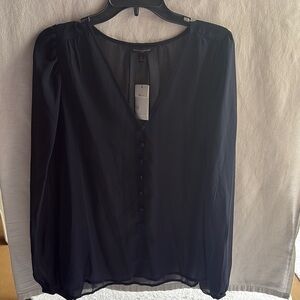 Banana Republic Sheer Blue Buttoned Long Sleeve Blouse